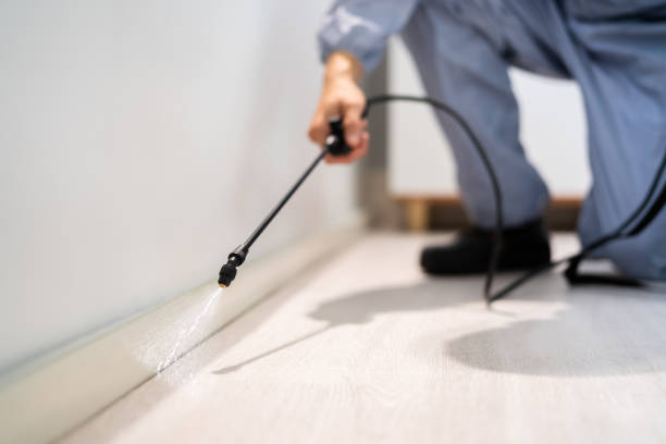 Certified termite inspector examining foundation in San Bernardino