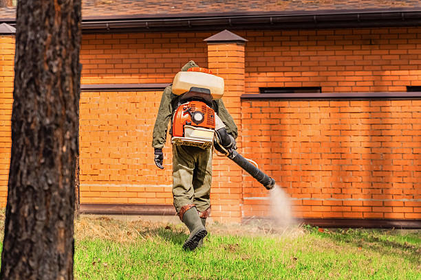 Bed Bug Clearance Verification and Documentation in San Bernardino